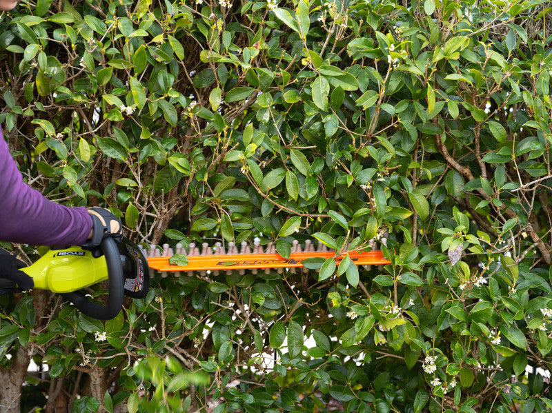 18V ONE+ 22" HEDGE TRIMMER KIT Image 8