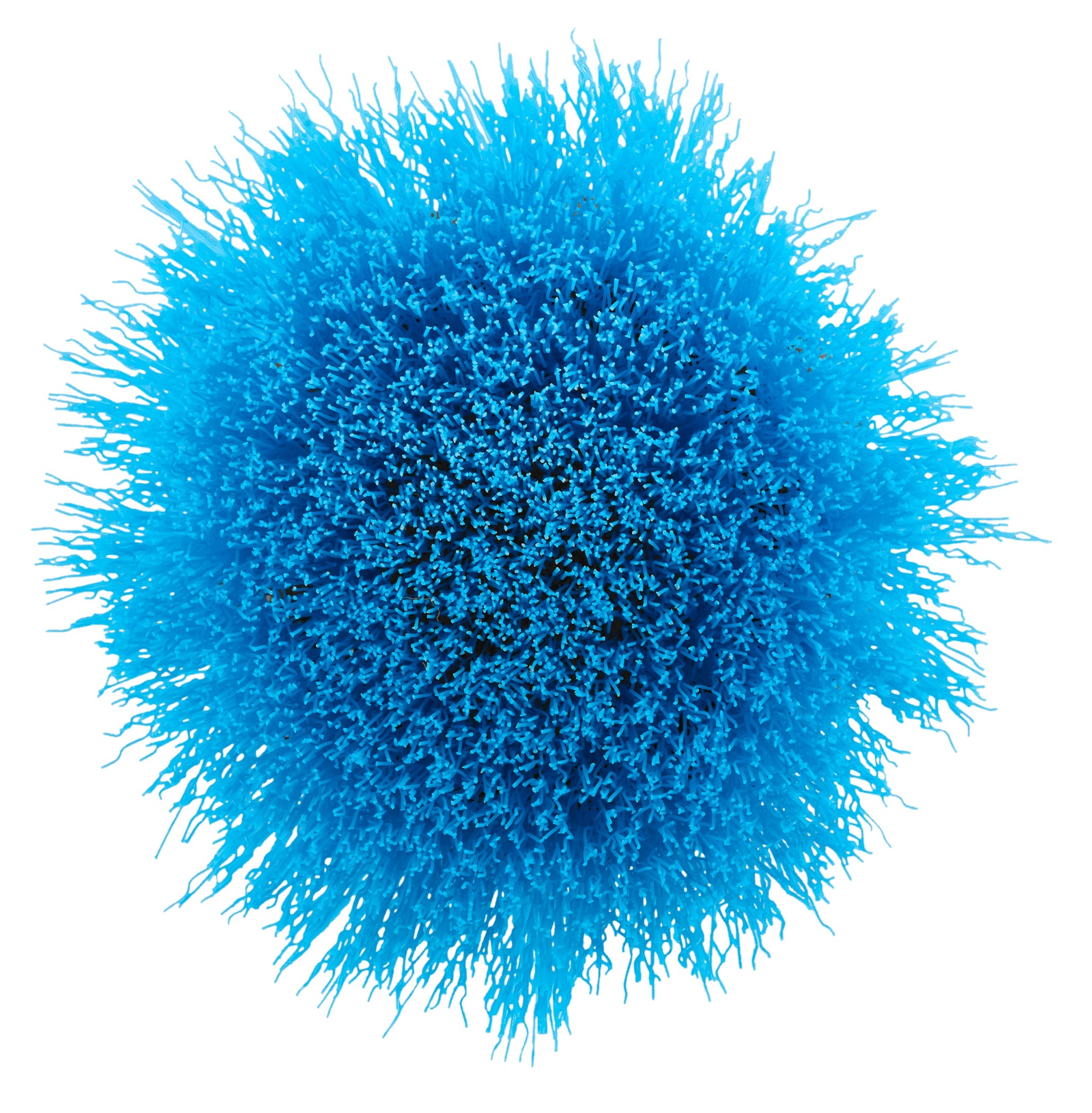 2 PC. SOFT BRISTLE BRUSH CLEANING KIT Image 4