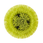 MEDIUM BRISTLE ROUND BRUSH Image 7