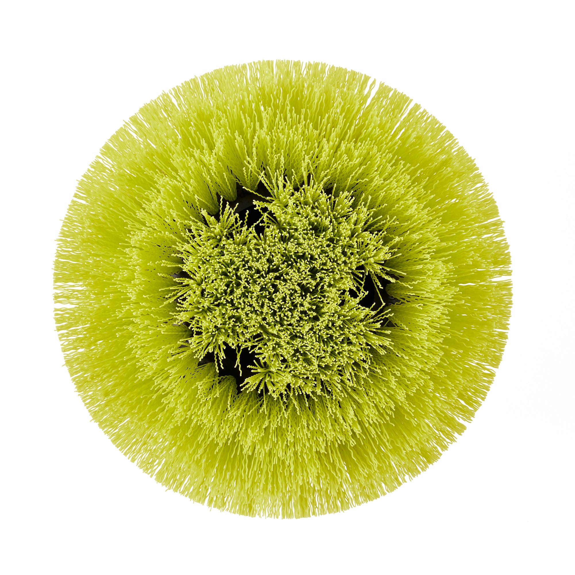 MEDIUM BRISTLE ROUND BRUSH Image 7